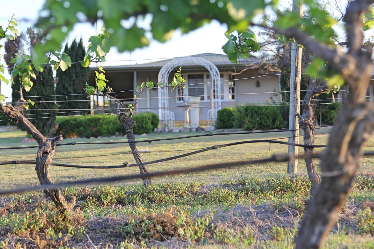 Blueberry Hill Vineyard Stay Rothbury エクステリア 写真